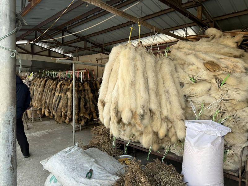 High risk of animal-to-human diseases developing in some China fur farms, animal protection group says